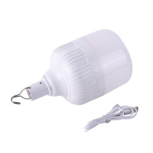 Rechargeable LED Light Bulb