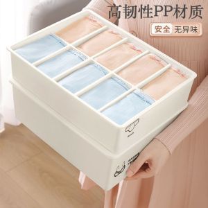 Underwear Storage Organizer